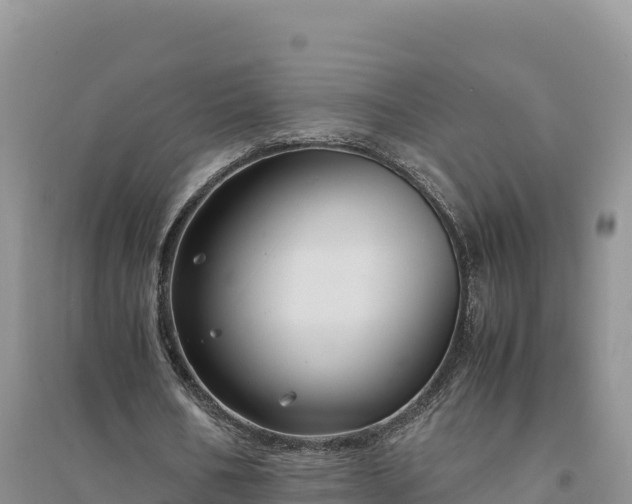 X0000094340578200711091431