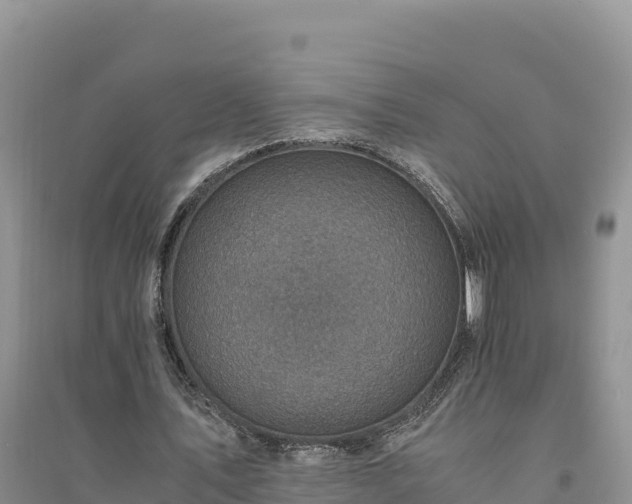 X0000094340579200711091431