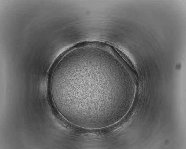 X0000094340580200711091431