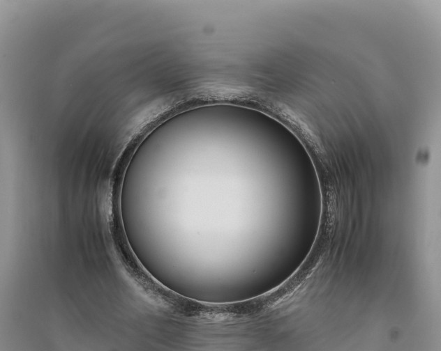 X0000094340582200711091431