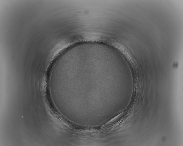 X0000094340583200711091431