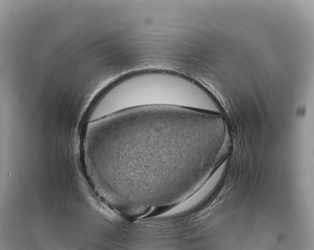 X0000094340584200711091431