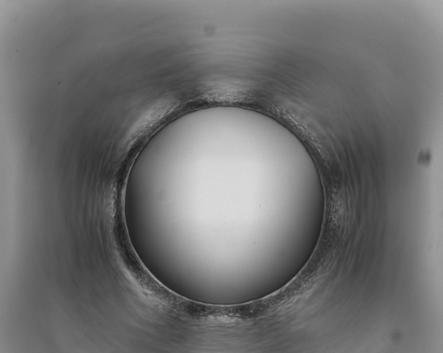 X0000094340586200711091431