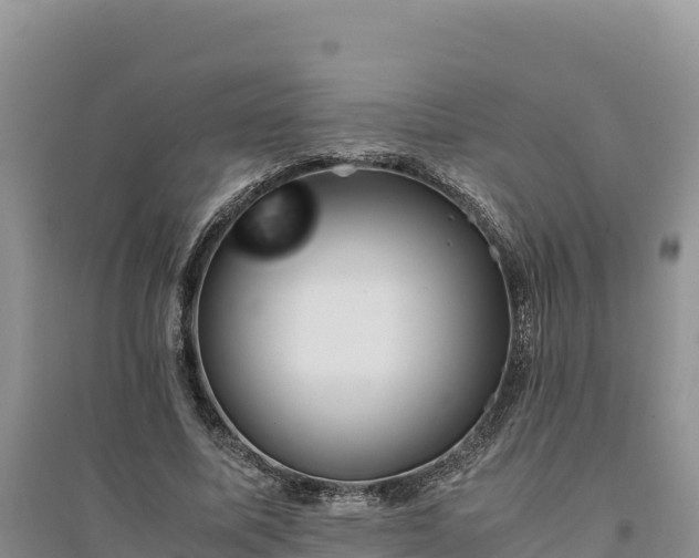 X0000094340587200711091431