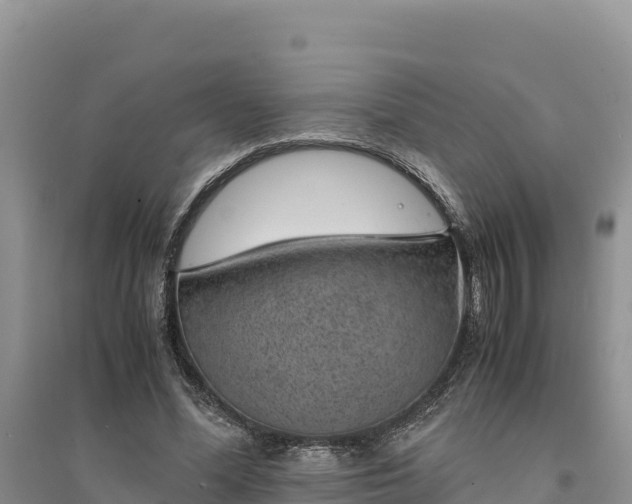 X0000094340588200711091431