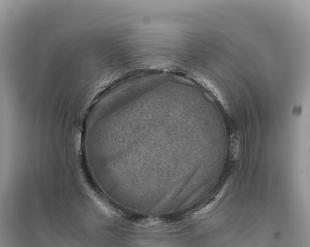 X0000094340589200711091431