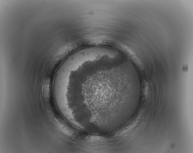X0000094340590200711091431