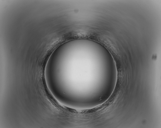 X0000094340593200711091431