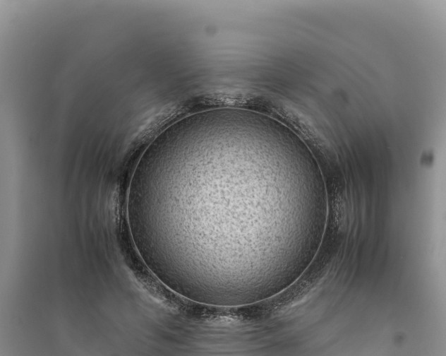 X0000094340594200711091431