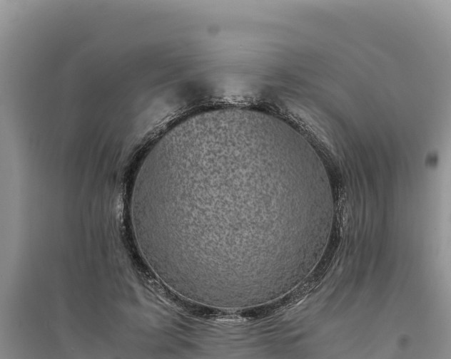 X0000094340595200711091431