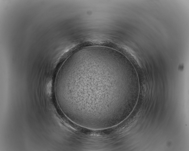 X0000094340596200711091431