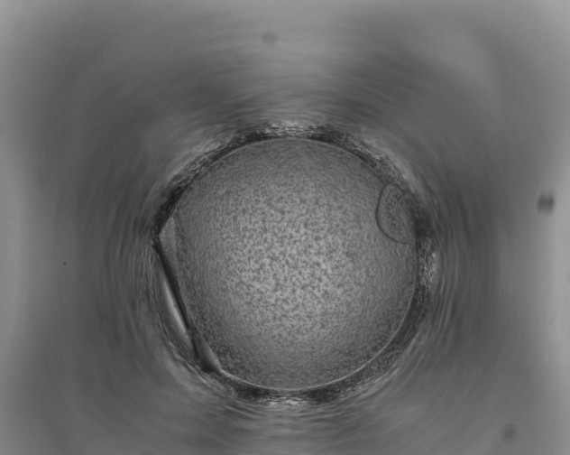 X0000094340599200711091430