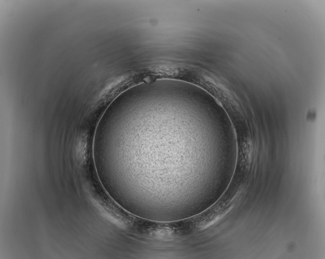 X0000094340600200711091430