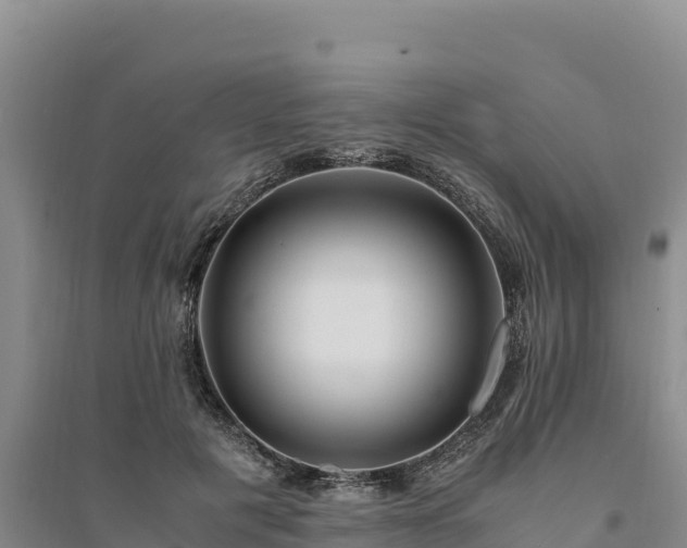 X0000094340601200711091430