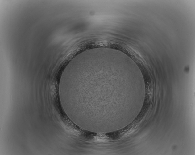 X0000094340603200711091430