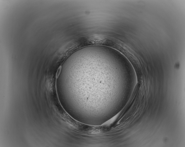 X0000094340604200711091430