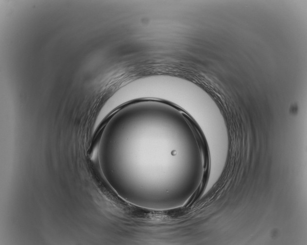 X0000094340605200711091430