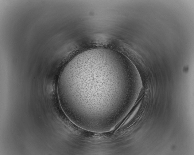 X0000094340608200711091430