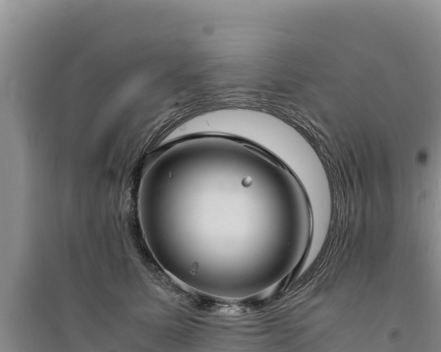 X0000094340611200711091430