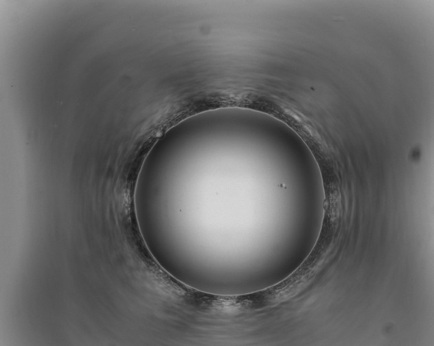 X0000094340613200711091430