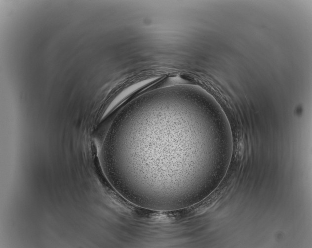 X0000094340616200711091430