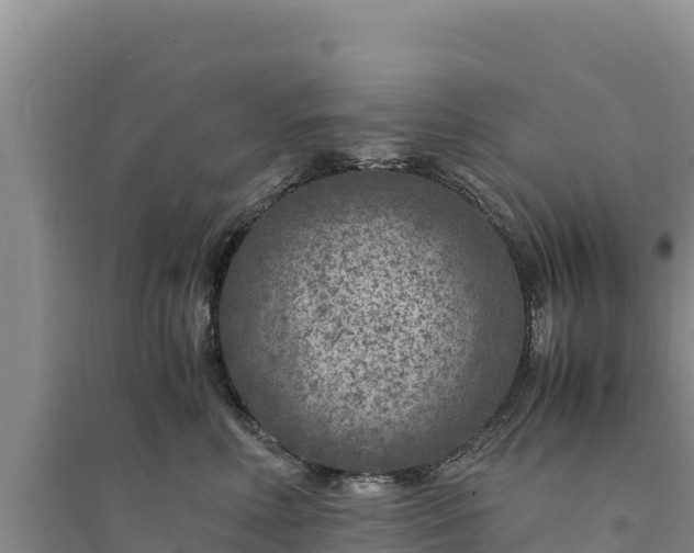X0000094340618200711091430