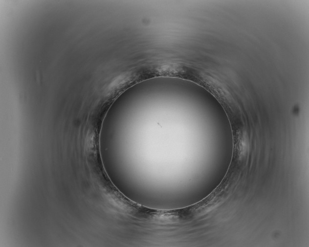 X0000094340619200711091430