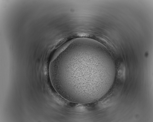 X0000094340620200711091430