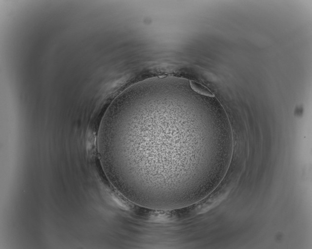 X0000094340624200711091430