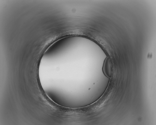 X0000094340625200711091429
