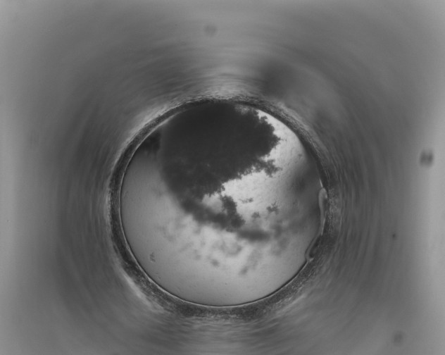 X0000094340626200711091429