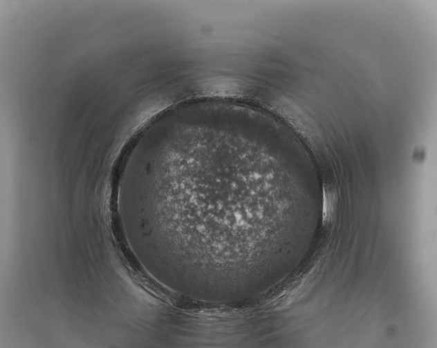 X0000094340627200711091429