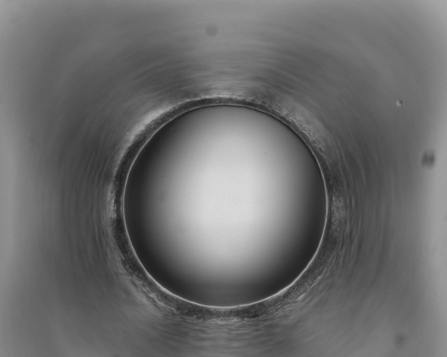 X0000094340628200711091429