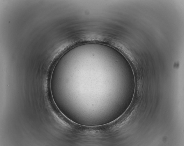 X0000094340629200711091430