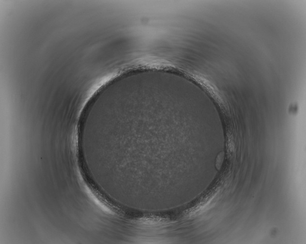 X0000094340630200711091430