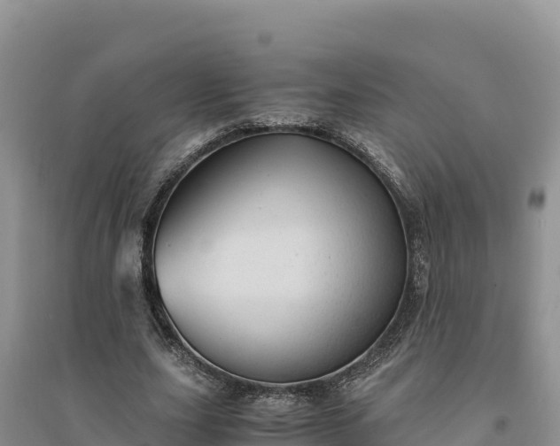 X0000094340631200711091430