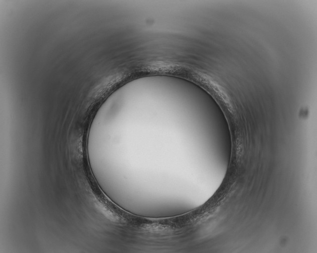 X0000094340633200711091430