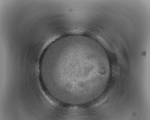 X0000094340634200711091430