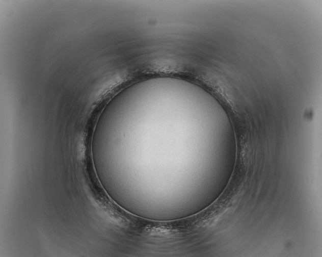 X0000094340635200711091430