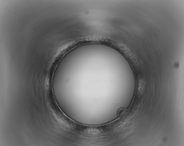 X0000094340636200711091430