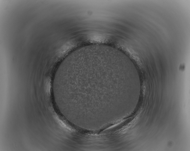 X0000094340637200711091430