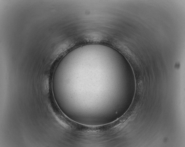 X0000094340638200711091430