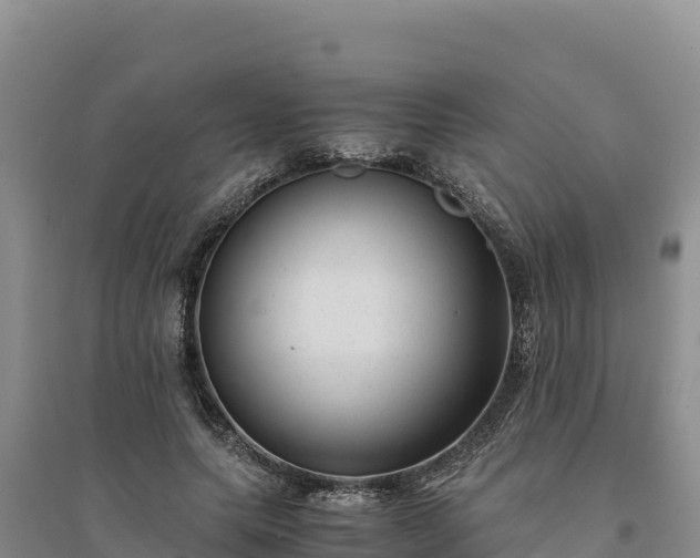 X0000094340639200711091430