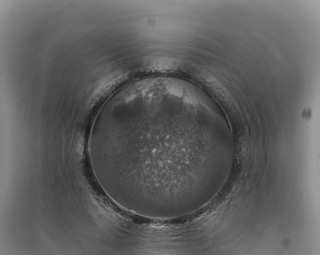 X0000094340640200711091430