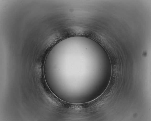 X0000094340642200711091430