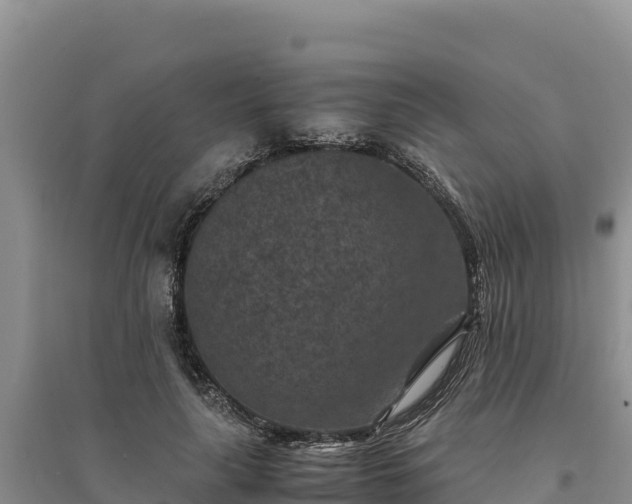 X0000094340643200711091430