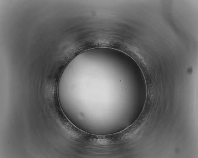 X0000094340645200711091430