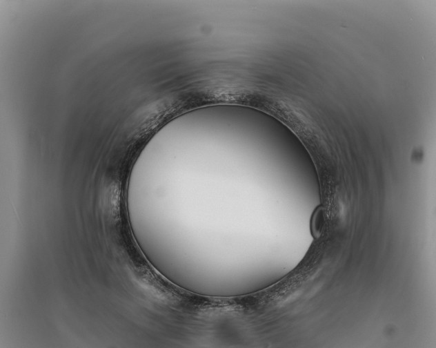 X0000094340646200711091430