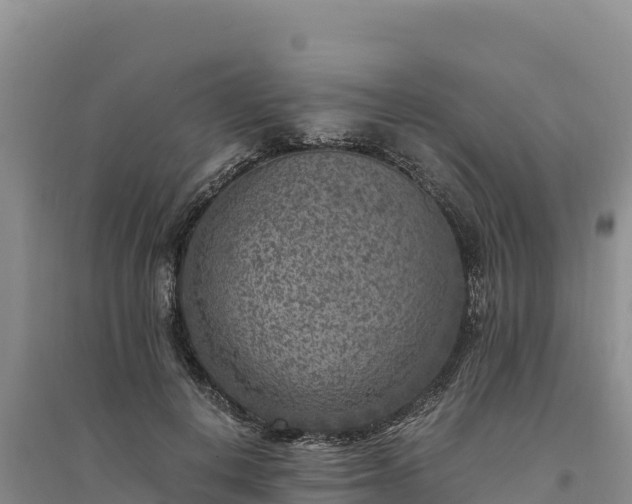 X0000094340648200711091430
