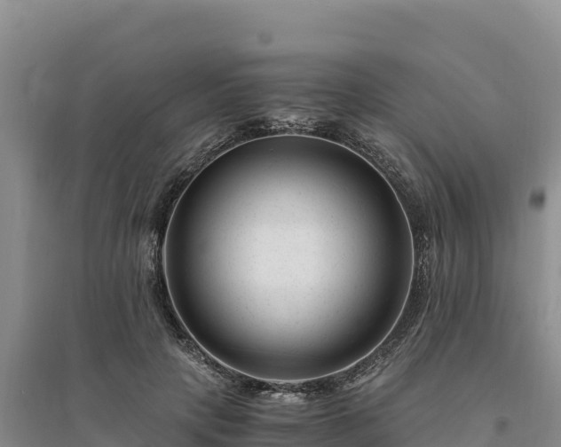 X0000094340649200711091430